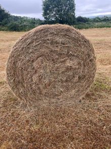 Hay bales
