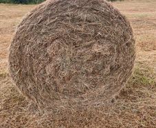 Hay bales