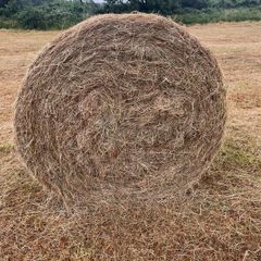Hay bales