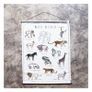 Numero 74 Embroidered School Poster Kit Wild Animal 50x70cm Image 5