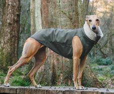 Whippet/Lurcher weather resistant fitted raincoat