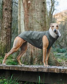 Whippet/Lurcher weather resistant fitted raincoat