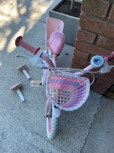 kids frozen bike