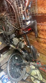 80cc motorised bicycle