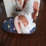 Spaniel dog ornament Image 4