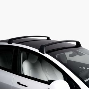 Tesla Model 3 Roof Rack