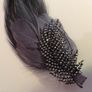Vintage Style   Feather Hair Clip with Diamante Leaf Spine Image 5