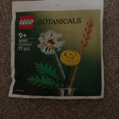 lego 30701