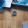 clutch kit Image 5