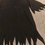 Witches Halloween Costume Image 3
