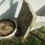 Bird bath Image 3
