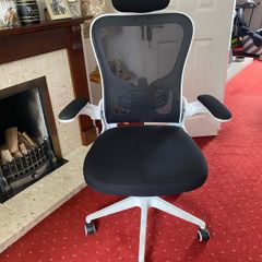 Ergonomic Office Chair