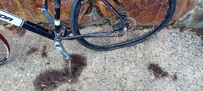 Merida Boardman Repair/parts