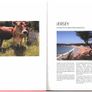 2013 Jersey Stamp Year Book (hardback) issued by Jersey Post includes with 28 images of contents Image 7