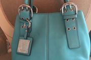 Leather mini bag. Used but spotless.
