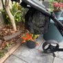 Golf Trolley Image 7