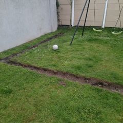 free top soil,great quality