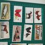 Vintage Mixed Cigarette Cards  Animals, Flags, Royalty & More Image 2