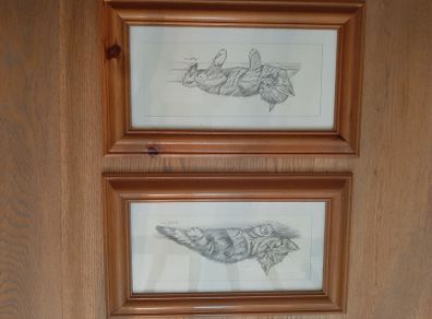 2 x Wall hanging Cat Pictures