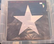 Neil Young - Hawks & Doves (LP, Album)