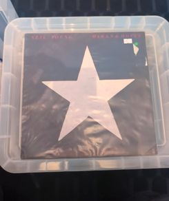 Neil Young - Hawks & Doves (LP, Album)