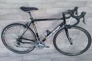 Boardman Comp