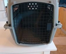 dog cage