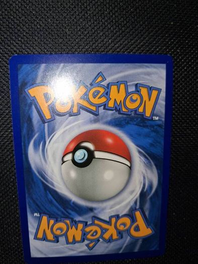 Pokemon Card : Shauna 111a
