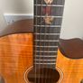 Tanglewood Electro Acustic Guitar Image 6
