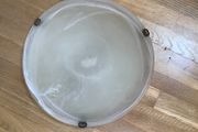 Frosted Ceiling Light