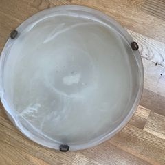 Frosted Ceiling Light