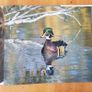 Photographic Book. Manitoba Seasons  In Beauty. Signed By The Author Robert R. Taylor. By R Image 7