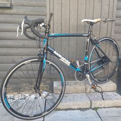Barracuda corvus roadbike - must see