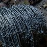 bared wire Image 2