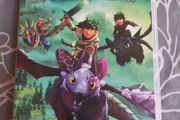 Nintendo Switch Dragons Dawn of new riders