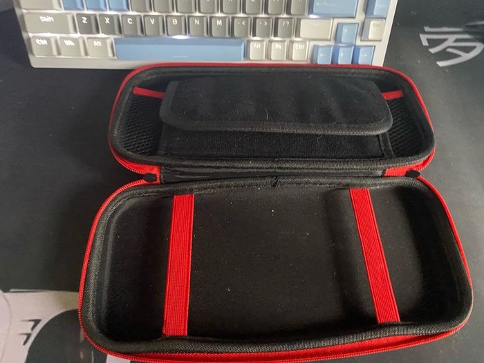 nintendo case 1