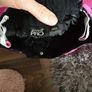 Kids ski trousers Crivit 146-152cm Image 4