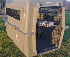 Dog travel crate
