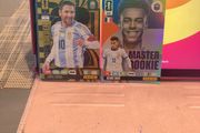 Panini Football Cards