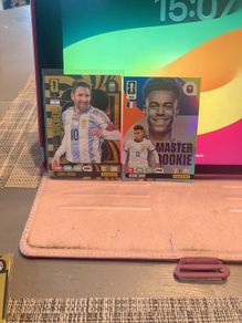Panini Football Cards