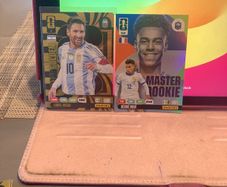 Panini Football Cards