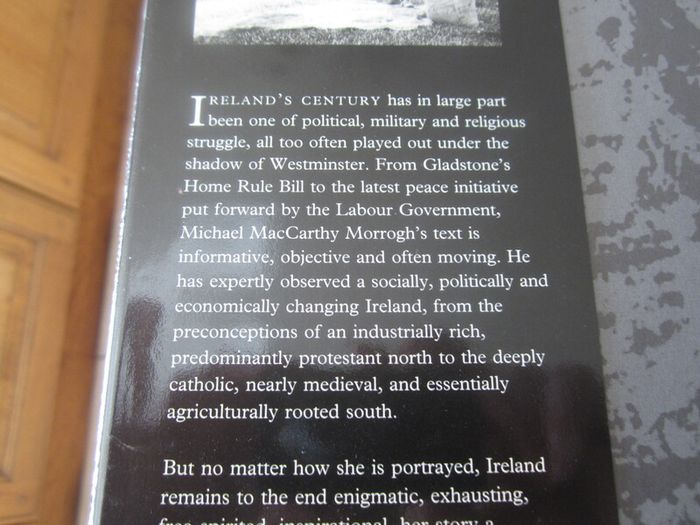 The Irish century