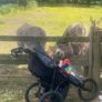 Outnabout Nipper Sport Image 3