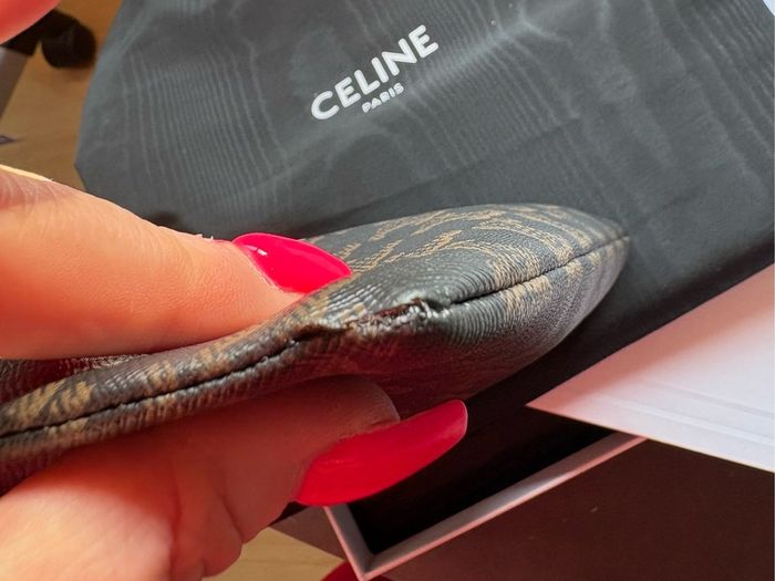 Celine Triomphe pouch