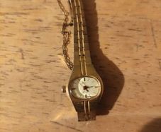 Citizen Seven