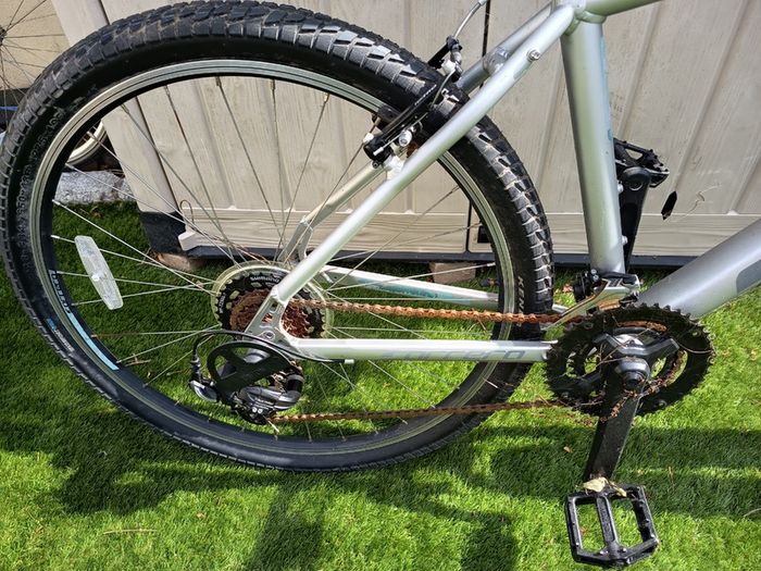 Hybrid Bicycle