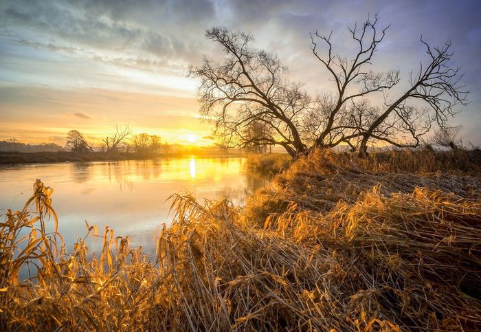 Olympus Zuiko 9-18mm FT (MFT via Adapter) - Landscapes & Interiors