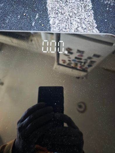 Bathroom scale