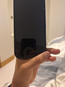 Google Pixel 9 Pro XL - looking for swap with iPhone max