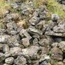 50 Tonnes Clean Concrete & Stone Rubble Image 6